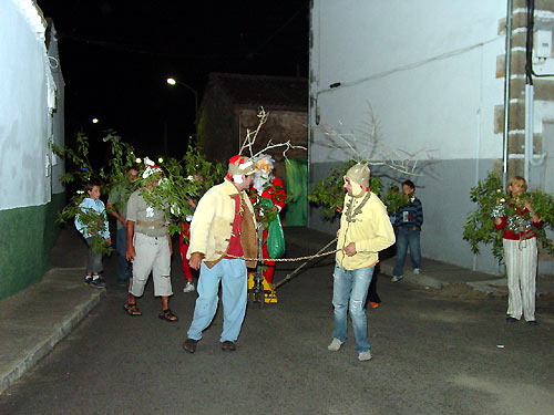 dsc02136rr